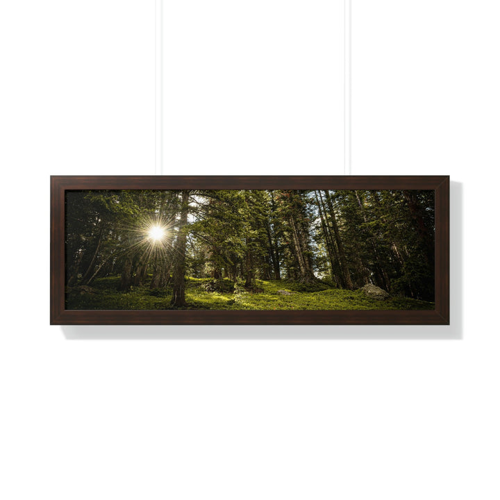 Forest Light - Framed Print - Visiting This World