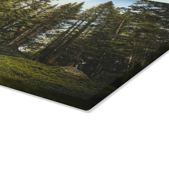 Forest Light - Glass Cutting Board - Visiting This World