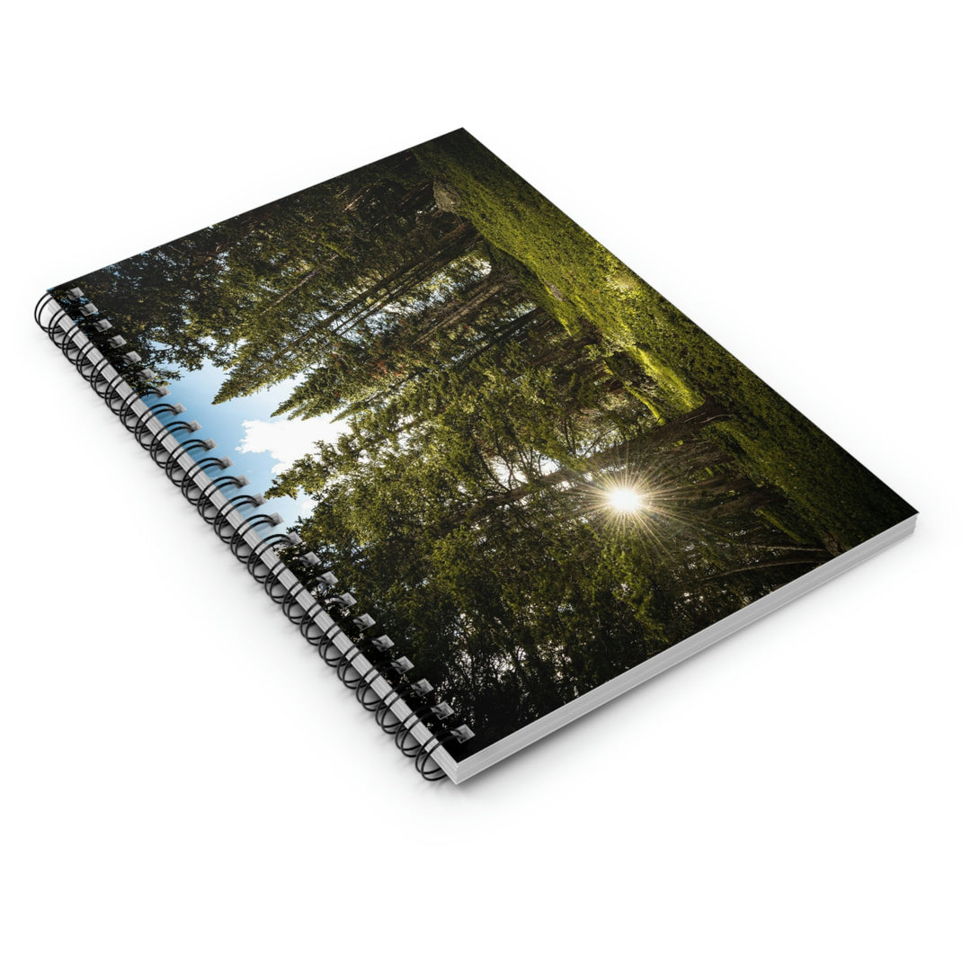 Forest Light - Spiral Ruled Line Notebook - Visiting This World