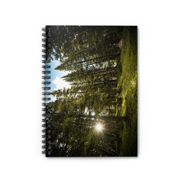 Forest Light - Spiral Ruled Line Notebook - Visiting This World