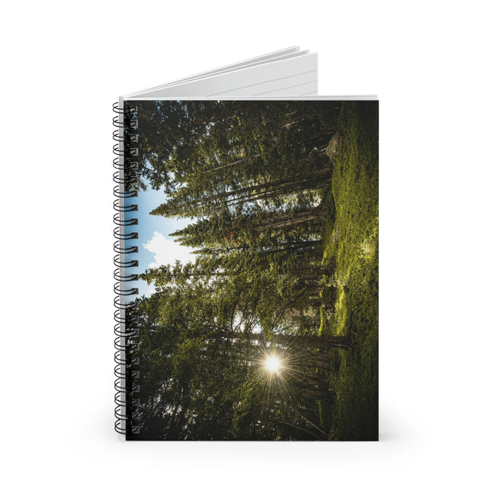 Forest Light - Spiral Ruled Line Notebook - Visiting This World