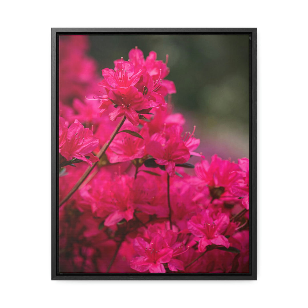 Full Bloom - Canvas with Frame - Visiting This World