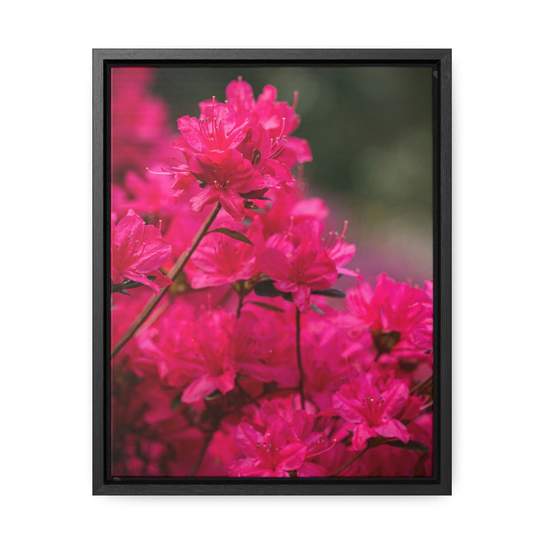 Full Bloom - Canvas with Frame - Visiting This World