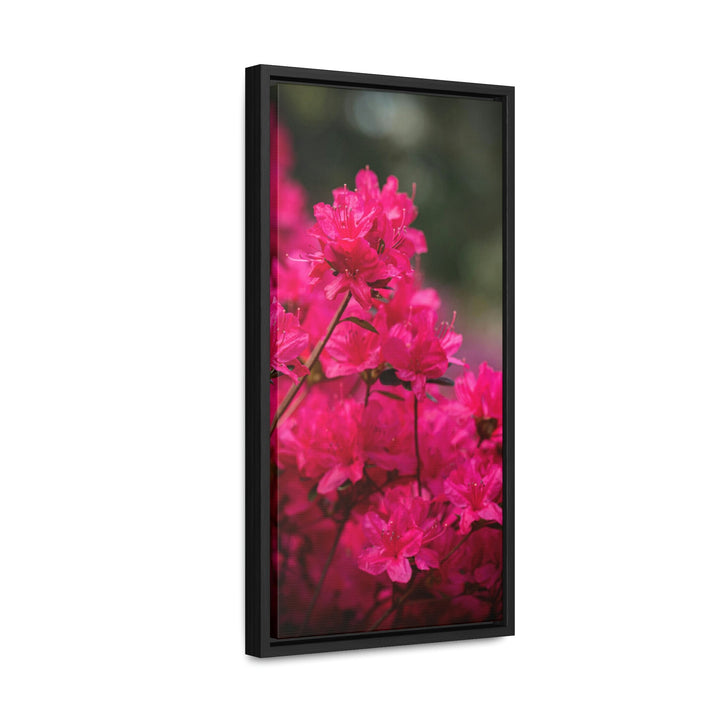 Full Bloom - Canvas with Frame - Visiting This World