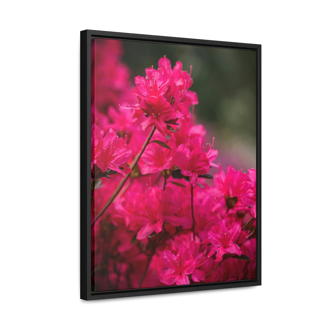 Full Bloom - Canvas with Frame - Visiting This World