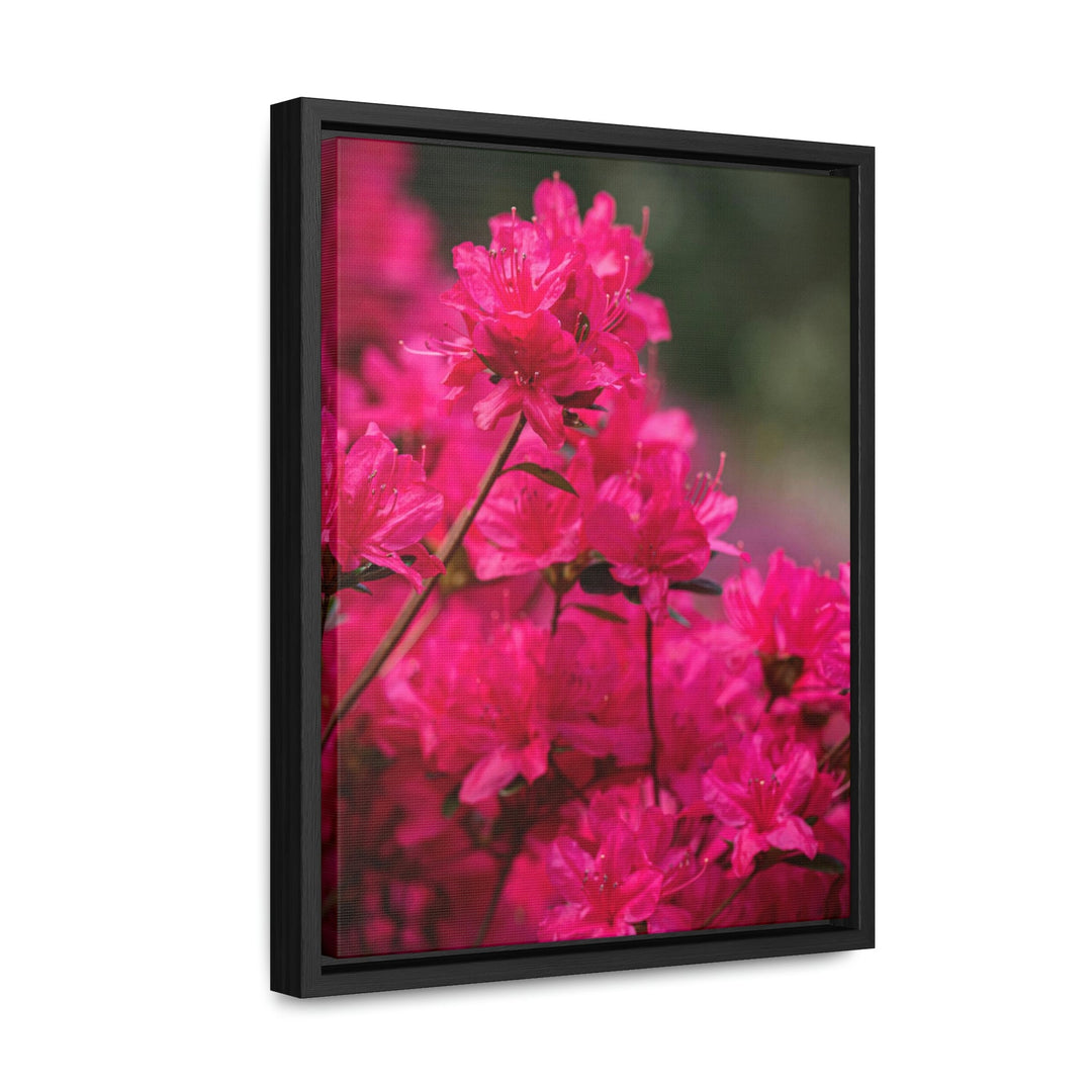 Full Bloom - Canvas with Frame - Visiting This World