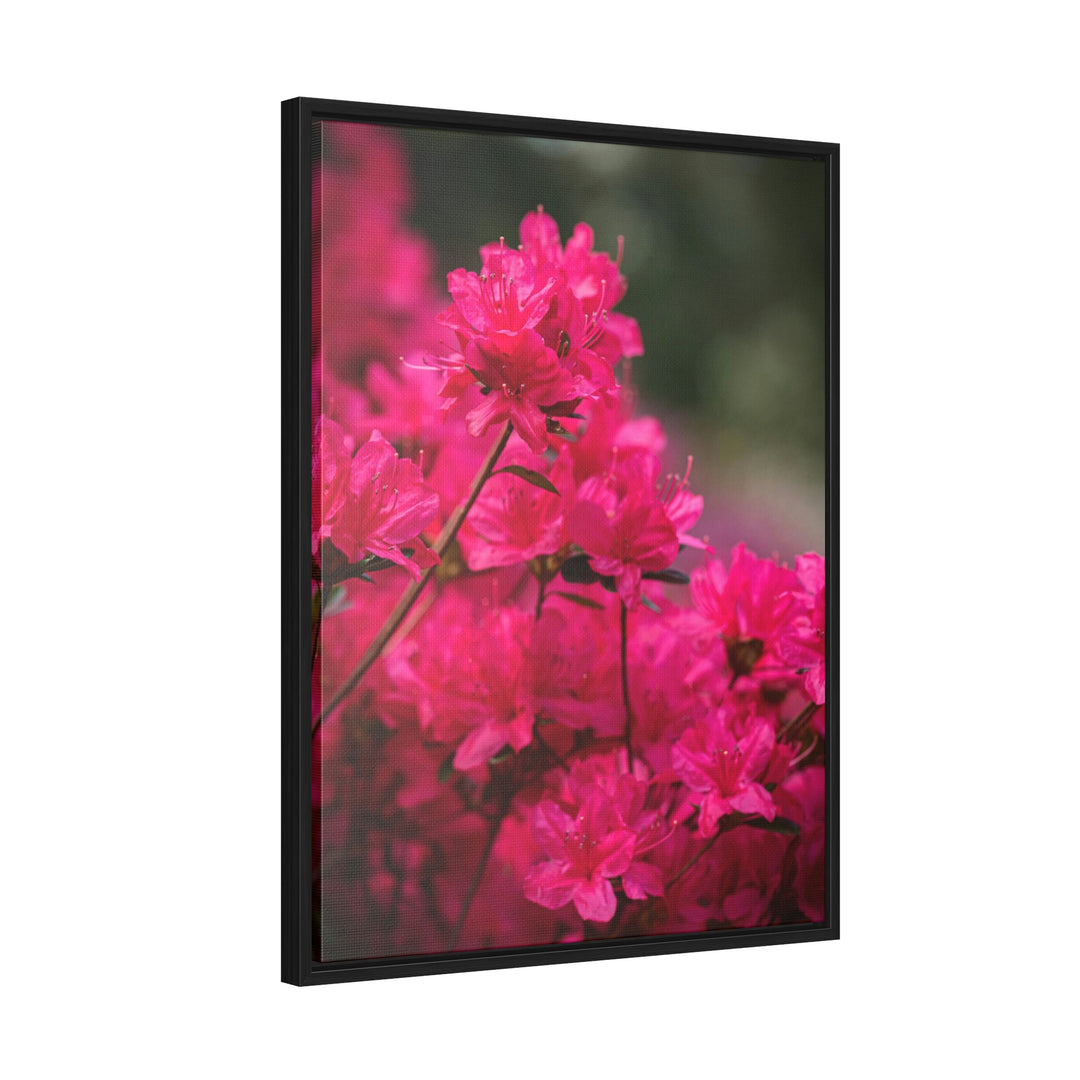 Full Bloom - Canvas with Frame - Visiting This World