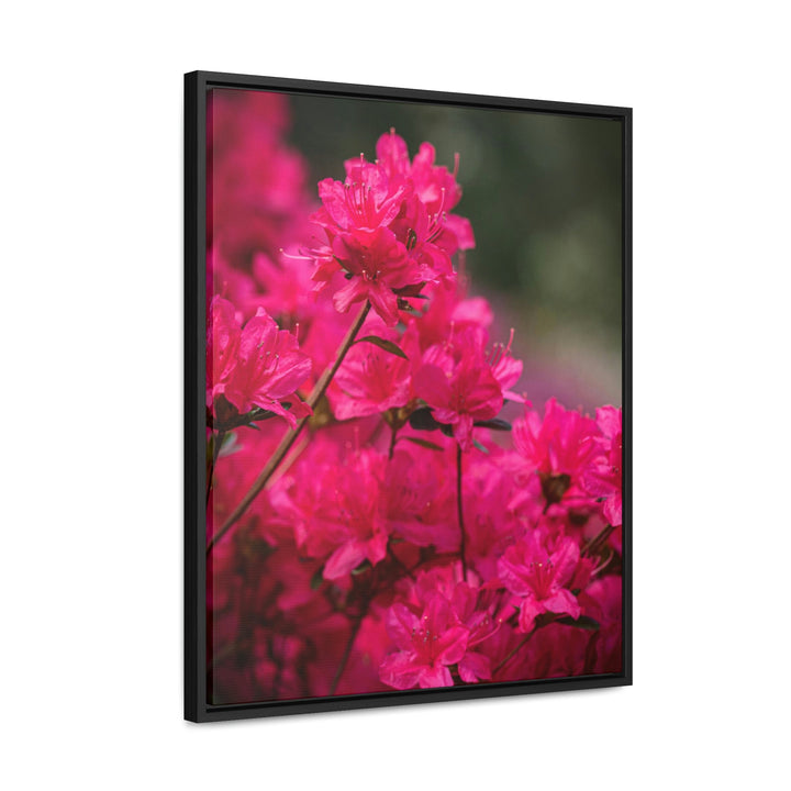 Full Bloom - Canvas with Frame - Visiting This World