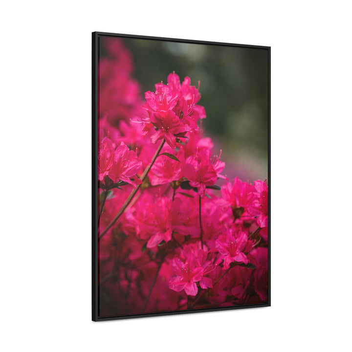 Full Bloom - Canvas with Frame - Visiting This World