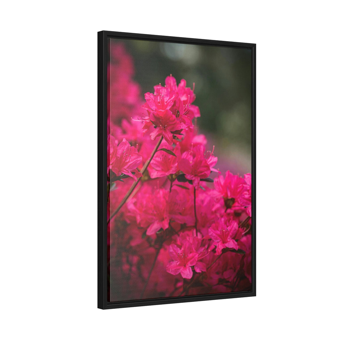 Full Bloom - Canvas with Frame - Visiting This World