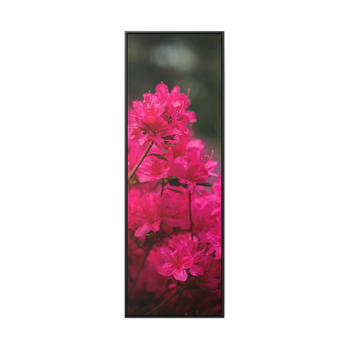 Full Bloom - Canvas with Frame - Visiting This World