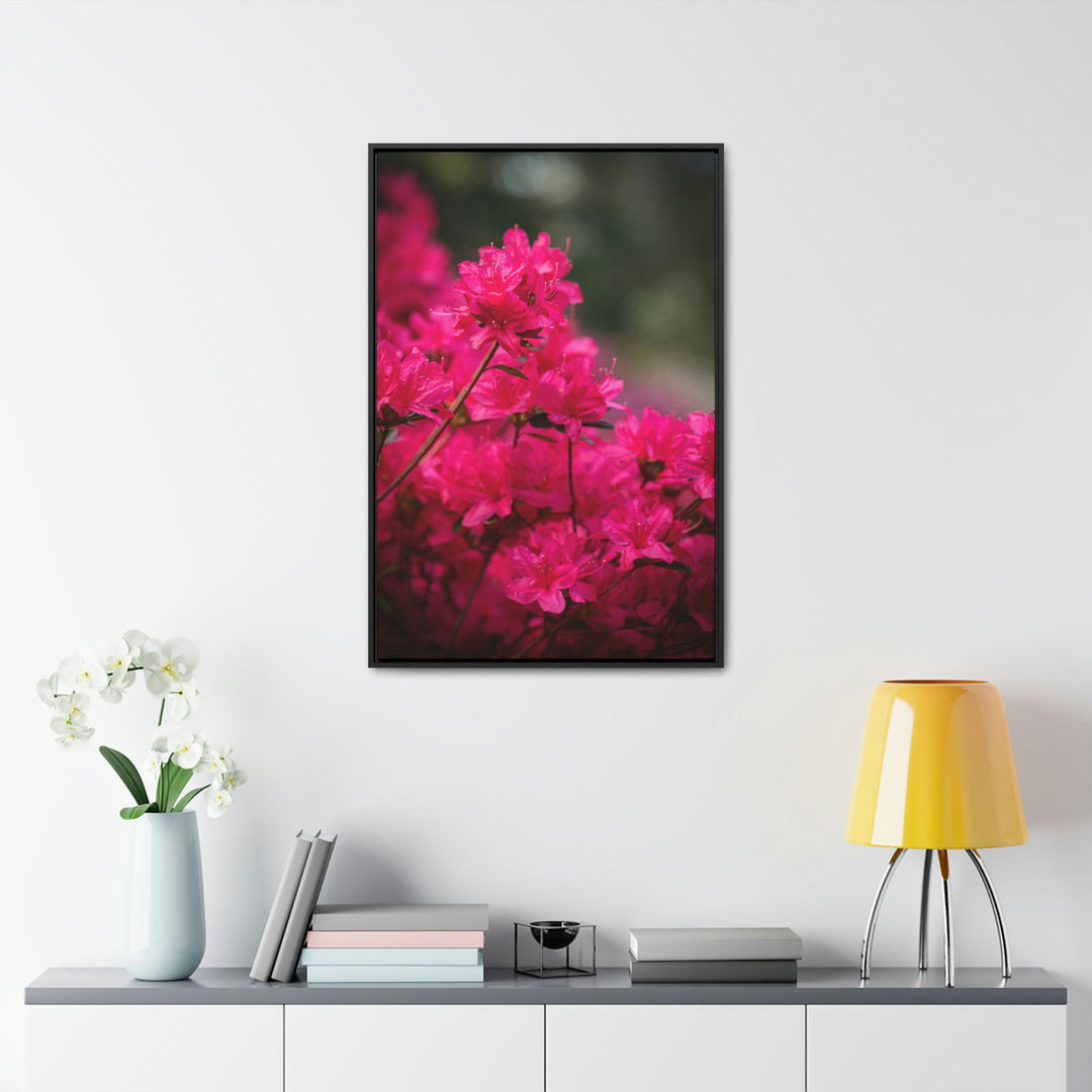 Full Bloom - Canvas with Frame - Visiting This World