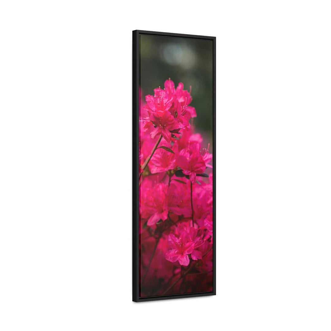 Full Bloom - Canvas with Frame - Visiting This World