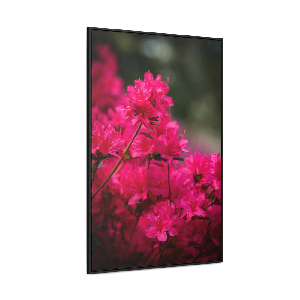 Full Bloom - Canvas with Frame - Visiting This World