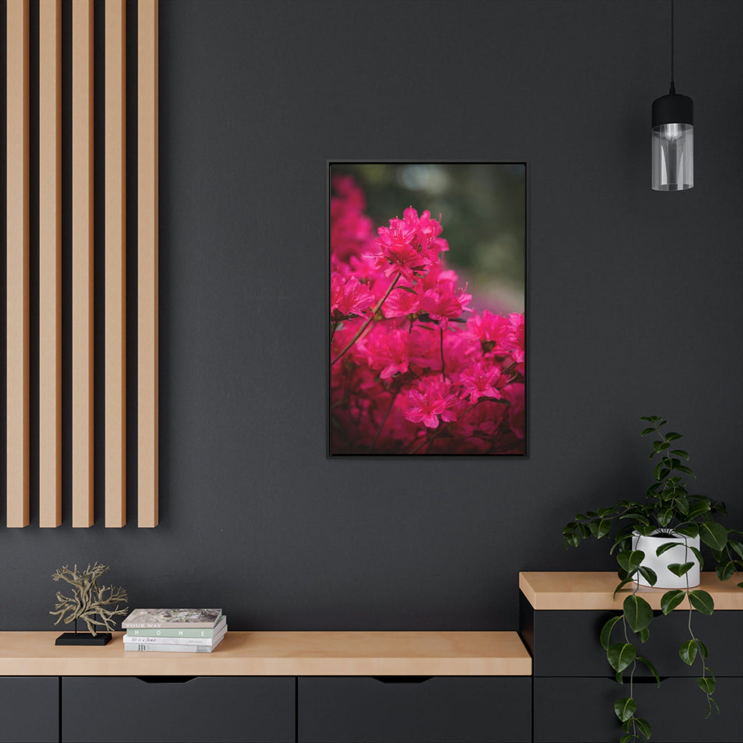 Full Bloom - Canvas with Frame - Visiting This World