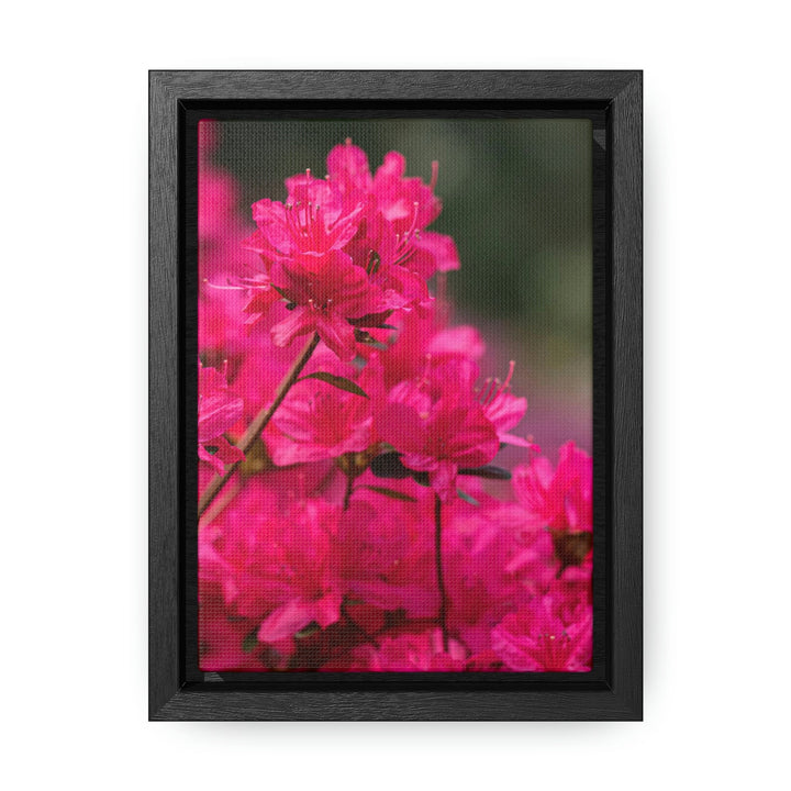 Full Bloom - Canvas with Frame - Visiting This World