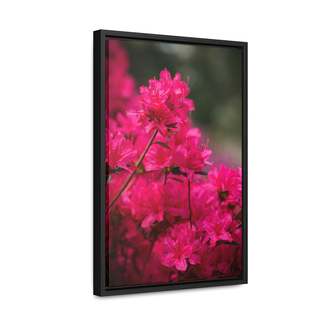 Full Bloom - Canvas with Frame - Visiting This World