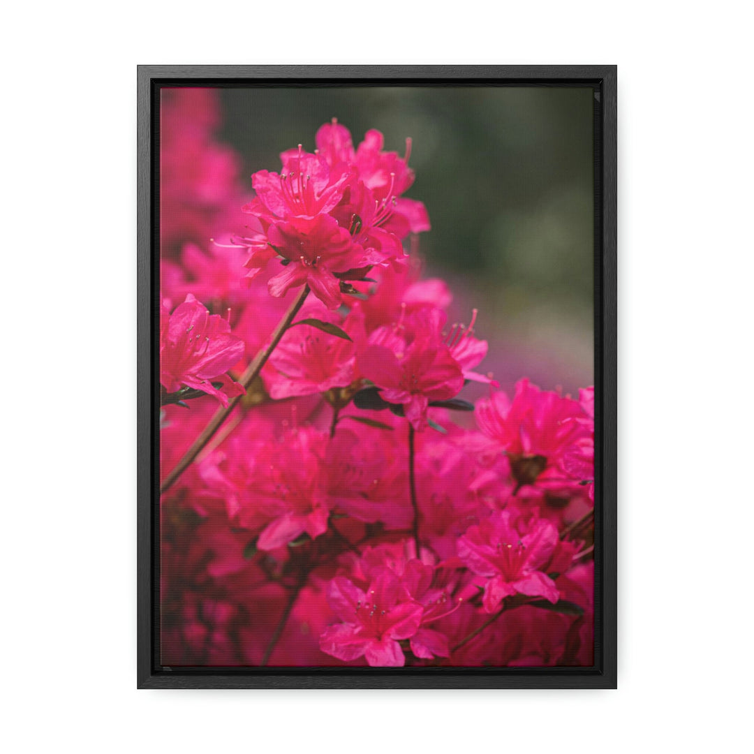 Full Bloom - Canvas with Frame - Visiting This World