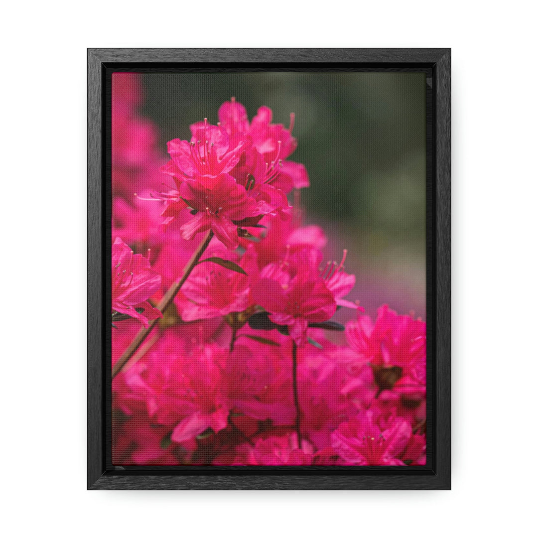 Full Bloom - Canvas with Frame - Visiting This World