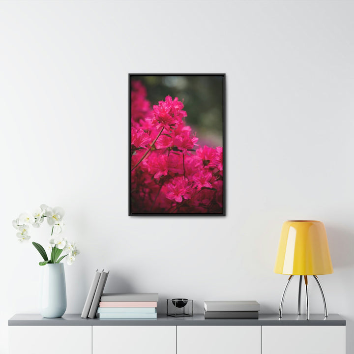 Full Bloom - Canvas with Frame - Visiting This World