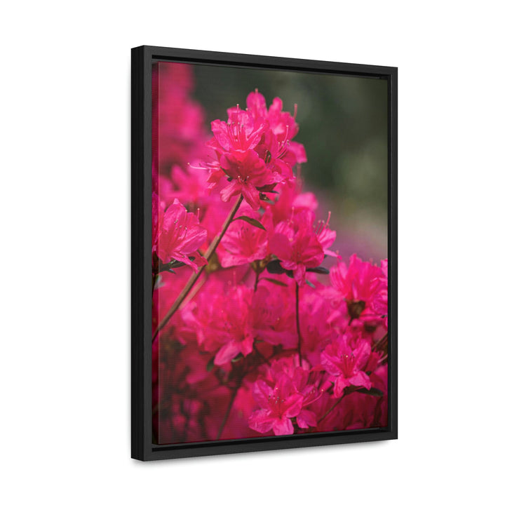 Full Bloom - Canvas with Frame - Visiting This World