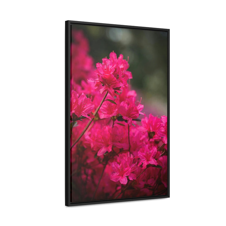 Full Bloom - Canvas with Frame - Visiting This World