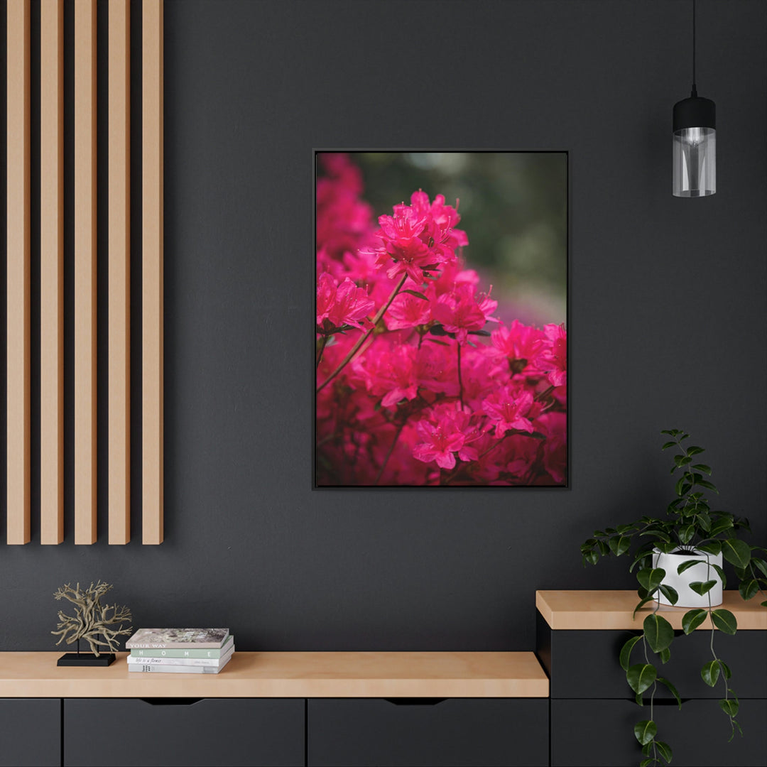 Full Bloom - Canvas with Frame - Visiting This World