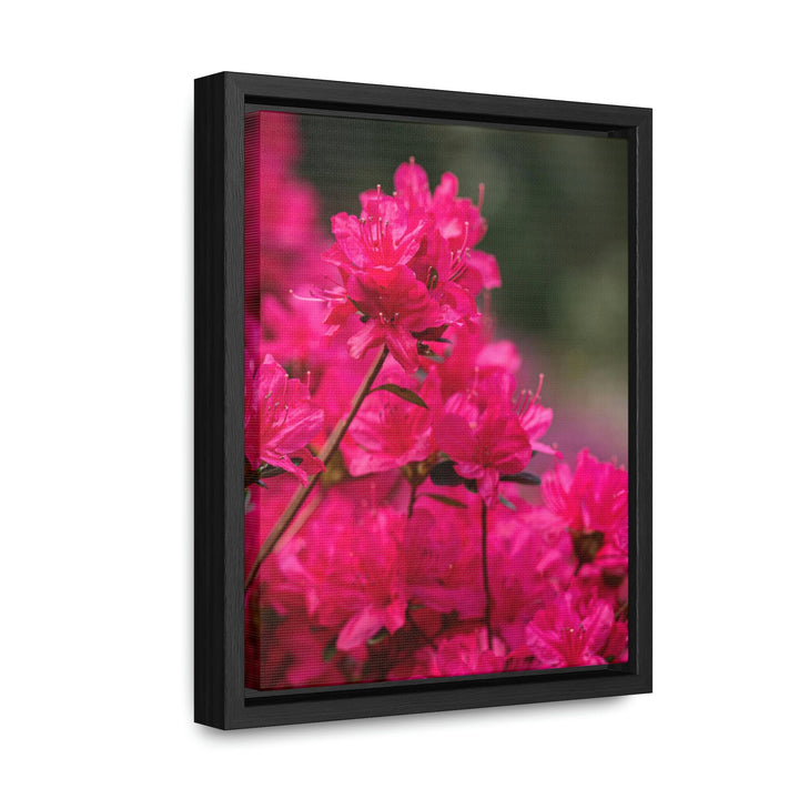 Full Bloom - Canvas with Frame - Visiting This World