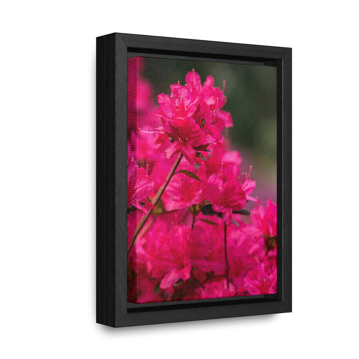 Full Bloom - Canvas with Frame - Visiting This World