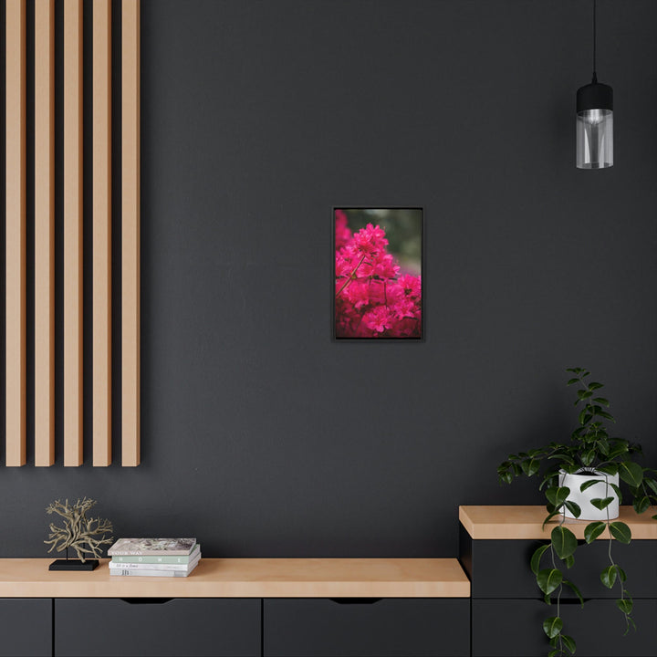 Full Bloom - Canvas with Frame - Visiting This World