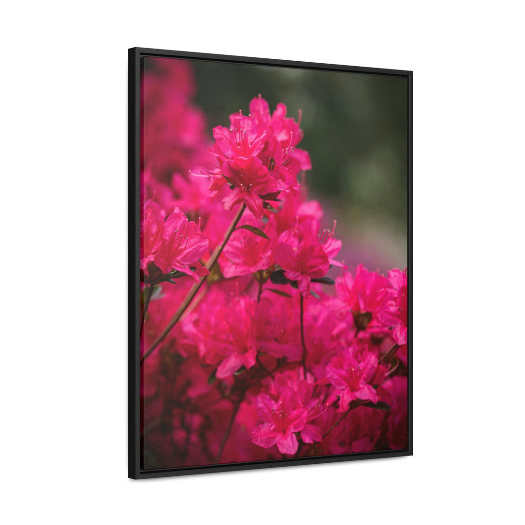 Full Bloom - Canvas with Frame - Visiting This World