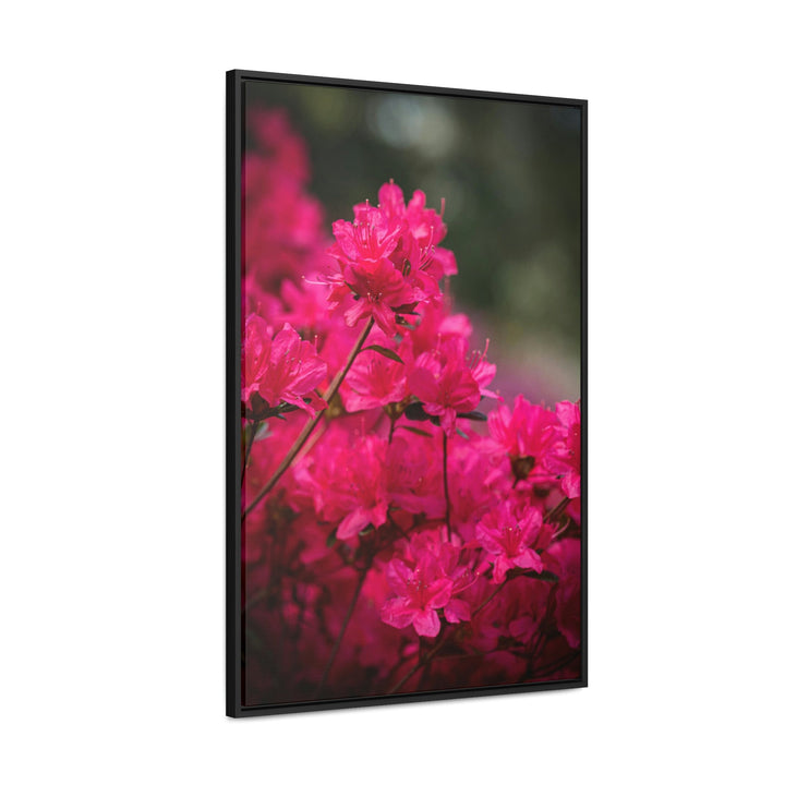 Full Bloom - Canvas with Frame - Visiting This World