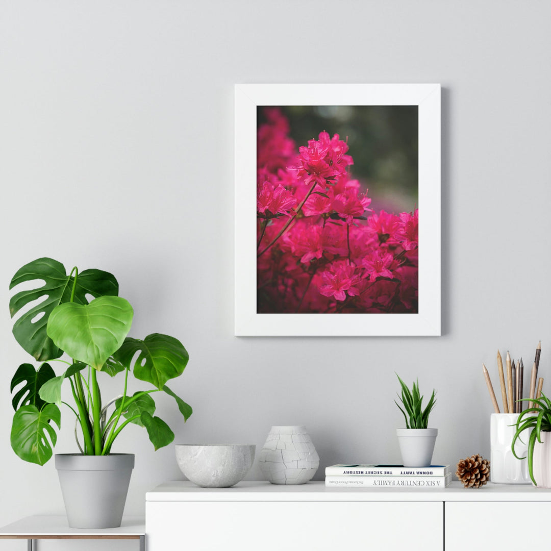 Full Bloom - Framed Print - Visiting This World