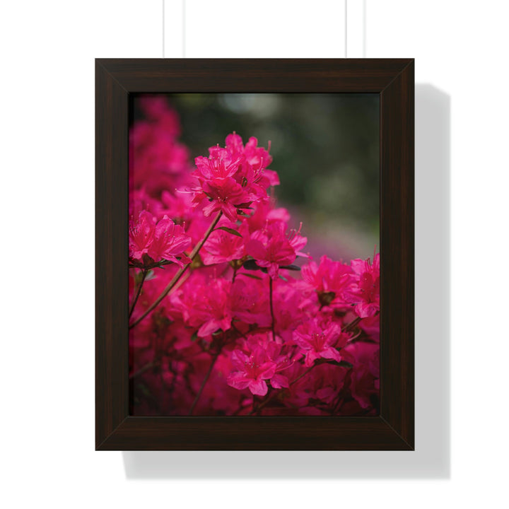 Full Bloom - Framed Print - Visiting This World