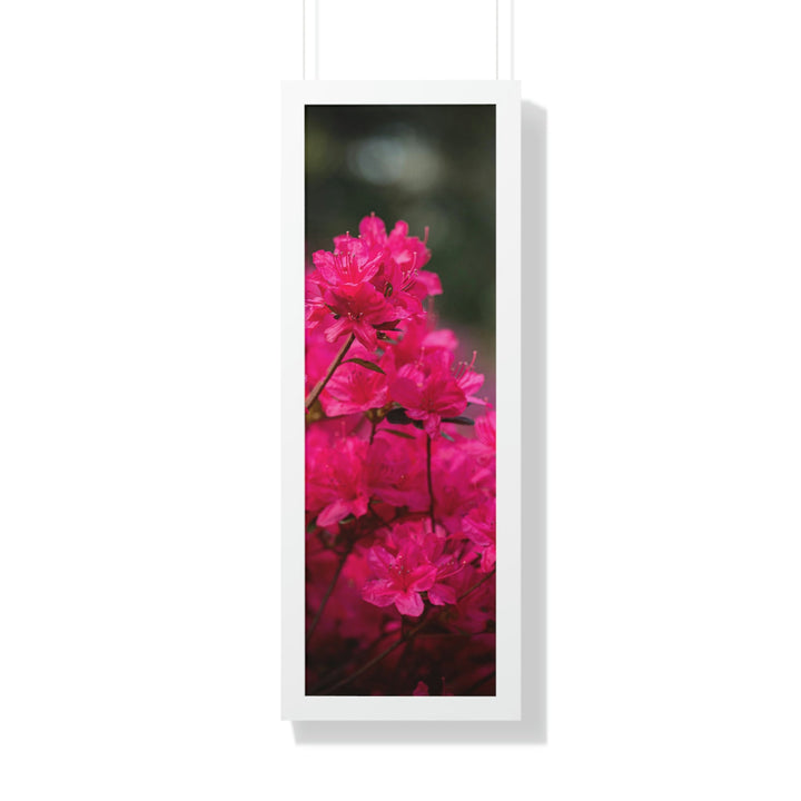 Full Bloom - Framed Print - Visiting This World