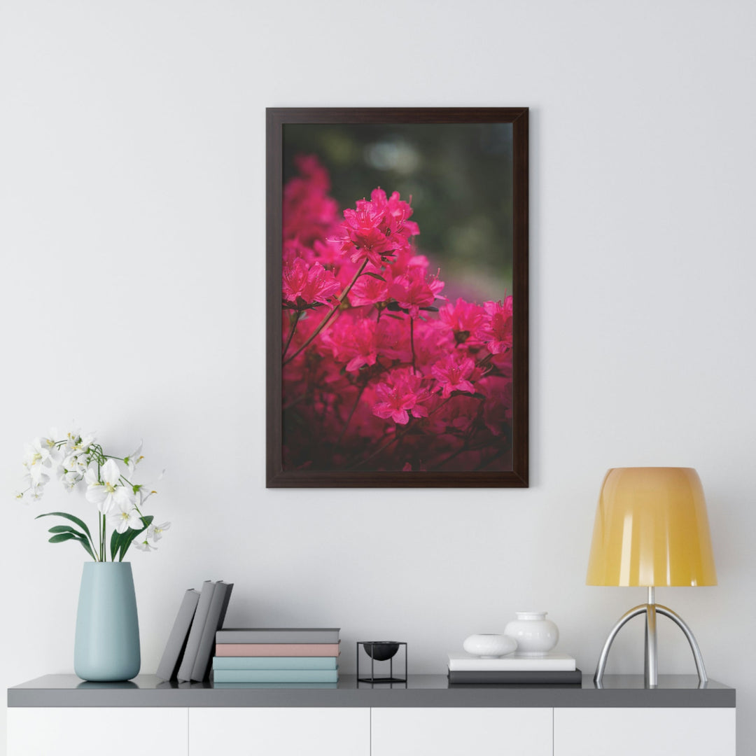 Full Bloom - Framed Print - Visiting This World