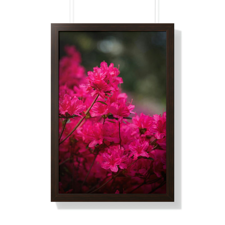 Full Bloom - Framed Print - Visiting This World