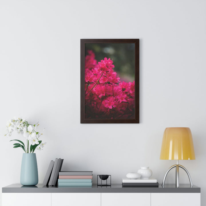 Full Bloom - Framed Print - Visiting This World