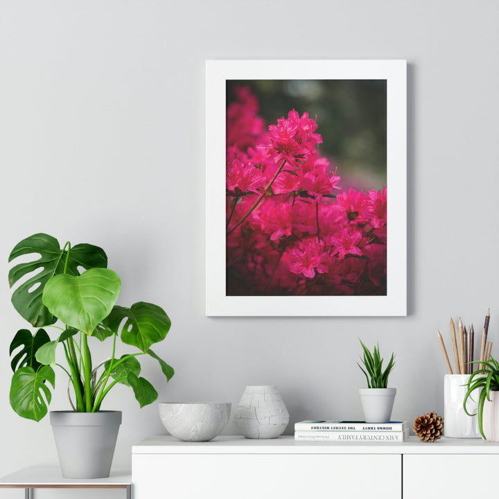 Full Bloom - Framed Print - Visiting This World