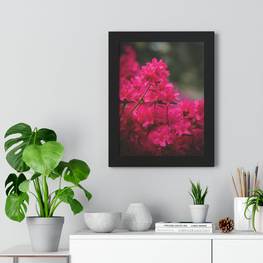 Full Bloom - Framed Print - Visiting This World