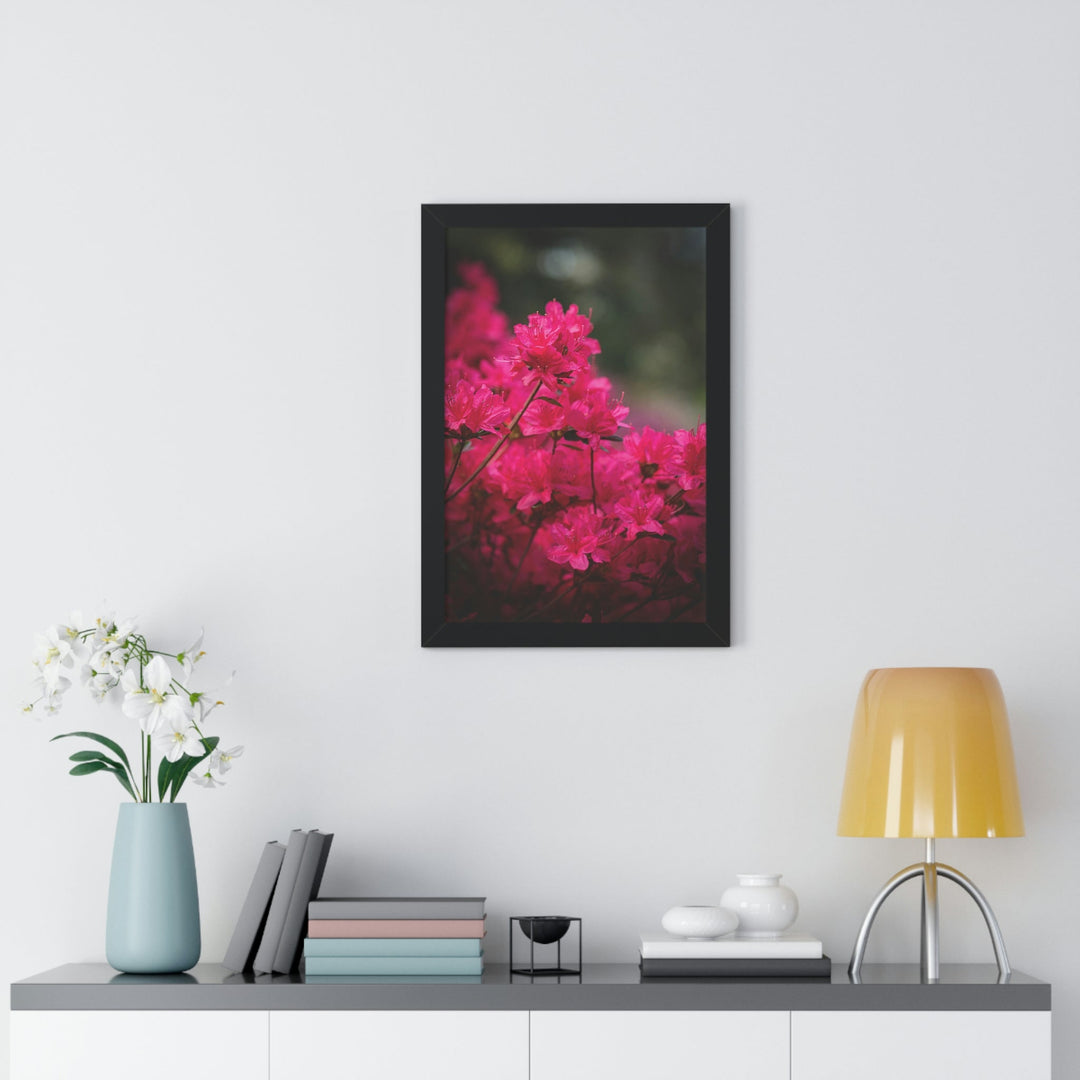 Full Bloom - Framed Print - Visiting This World