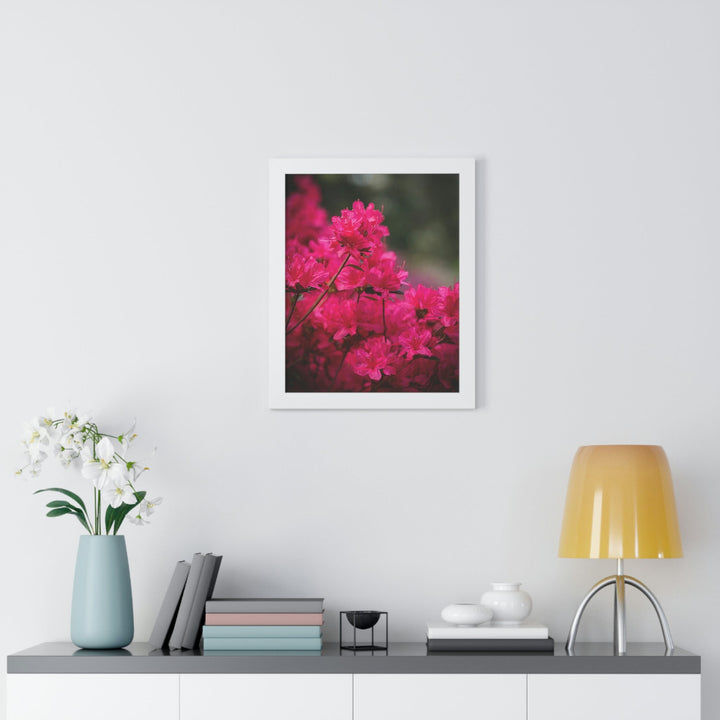 Full Bloom - Framed Print - Visiting This World