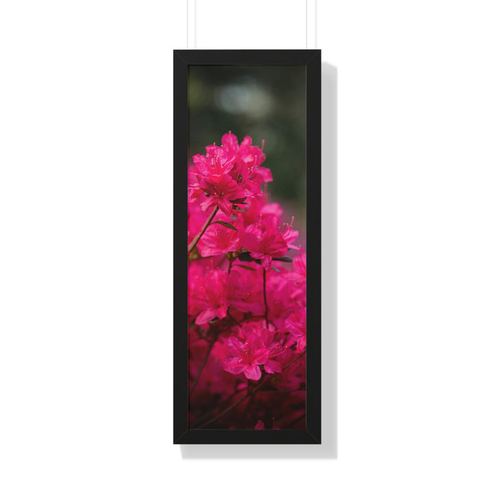 Full Bloom - Framed Print - Visiting This World