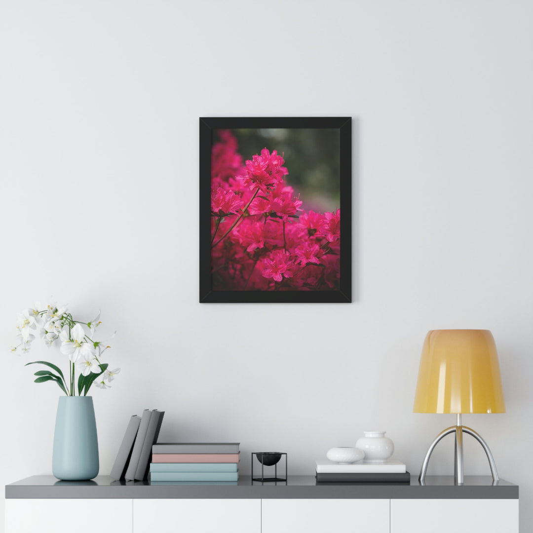 Full Bloom - Framed Print - Visiting This World