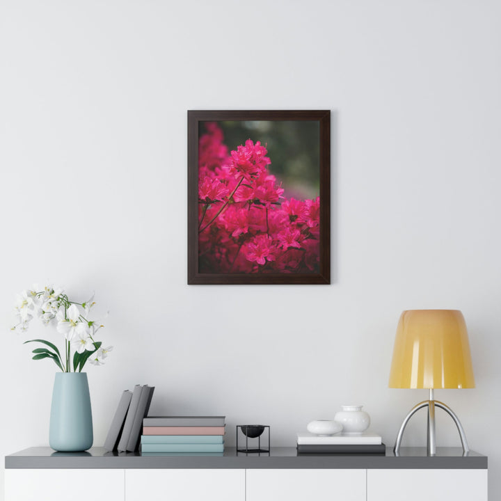 Full Bloom - Framed Print - Visiting This World