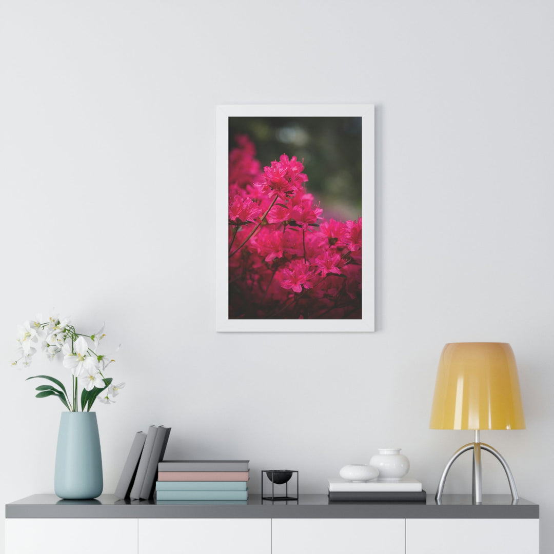 Full Bloom - Framed Print - Visiting This World