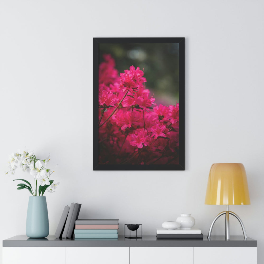 Full Bloom - Framed Print - Visiting This World