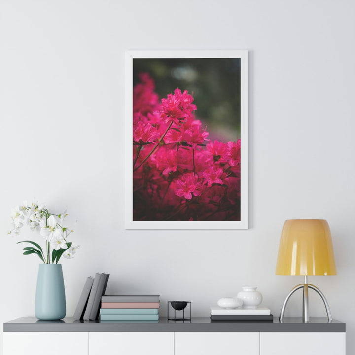 Full Bloom - Framed Print - Visiting This World