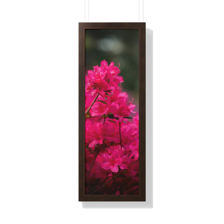 Full Bloom - Framed Print - Visiting This World