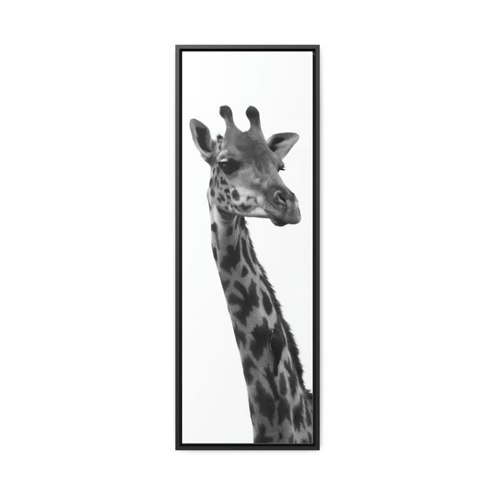 Giraffe Portrait in Black and White - Canvas With Frame - Visiting This World